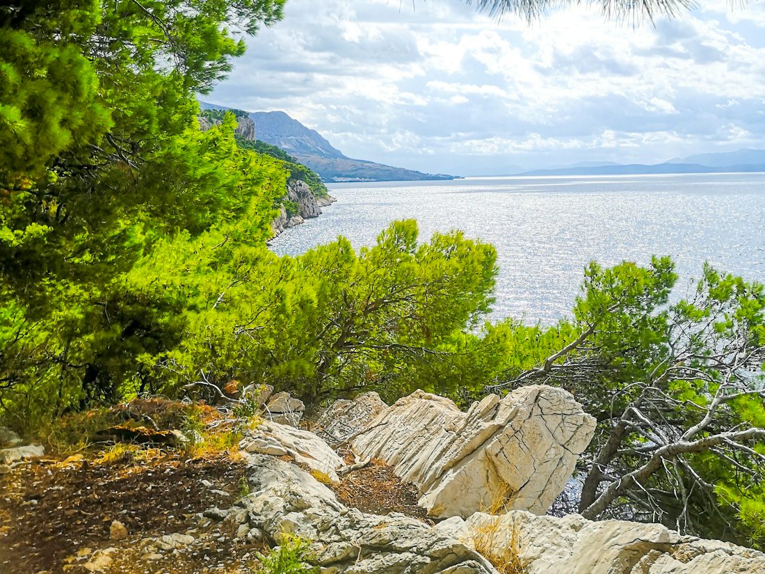 Côte dalmate près de Makarska, en Croatie