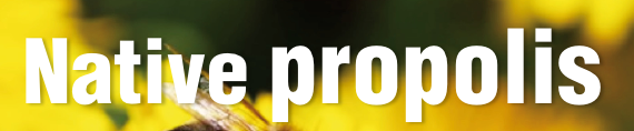 Santé Naturelle n°27 : article Native Propolis